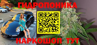 шишки Ярославль