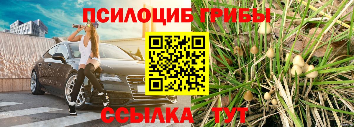 Галлюциногенные грибы MAGIC MUSHROOMS  Вход с VPN  Джанкой 